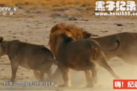 《非洲》全6集 国语配音中文字幕 720P高清下载