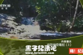 《追踪神奇毒蛇》全3集 国语配音中文字幕 1080P超清下载