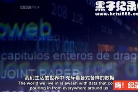 [统计的乐趣 The Joy of Stats 2010][BBC纪录片][1集][声配音中英双字] 标清纪录片下载