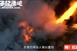 [绝对好奇][探索频道][两季 全31集][英语配音中文字幕]1080P纪录片下载