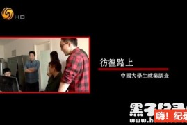 《彷徨路上：中国大学生就业调查 2014》全5集 国语配音中文字幕 720P高清下载