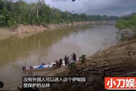 寻找原始部落实拍系列纪录片《科鲁博原始部落：生存保护战》全1集中字 1080P高清自媒体解说素材百度网盘下载