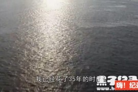 《亿万美元的残骸》全9集 英语中字 1080P超清下载