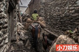 历史人文纪录片《中国民间生存实录 最后的马帮》全3集 标清纪录片百度网盘下载