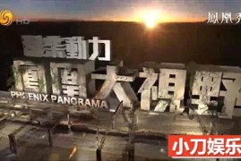 历史人文纪录片《凤凰大视野2016》全51部 720P/1080i高清纪录片百度网盘下载