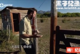 [勇闯天涯：安第斯山脉之旅][4集][旅游卫视][国语配音中文字幕]下载