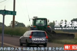 《中国骗局 The China Hustle 2017》纪录片英语配音中文字幕 1080P/720P超清下载