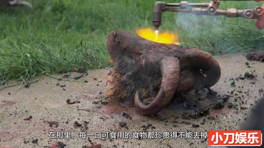 暗黑美食纪录片《稀奇古怪的食物 Bizarre Foods with Andrew Zimmern》第2季全32集 英语外挂中字 1080P/MKV/60.7G插图 暗黑美食纪录片《稀奇古怪的食物 Bizarre Foods with Andrew Zimmern》第2季全32集 英语外挂中字 1080P/MKV/60.7G插图