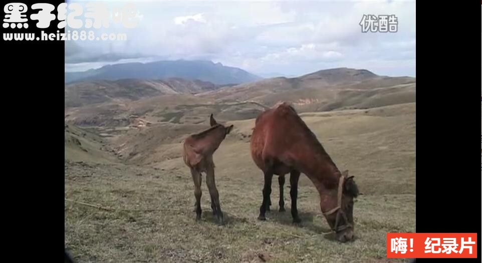 [喜洋塘][王兵纪录片][豆瓣7.0][原生配音无字幕]720P下载