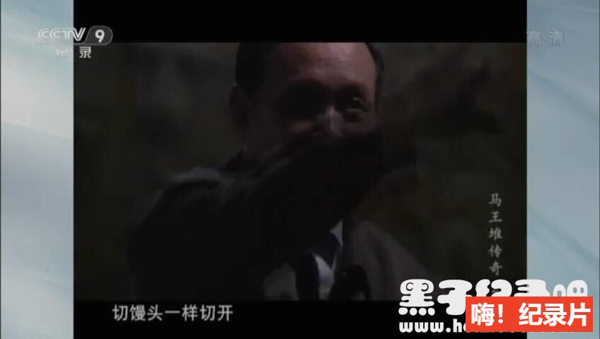 [马王堆传奇][央视纪录片][全2集][国语配音中文字幕] 1080P下载