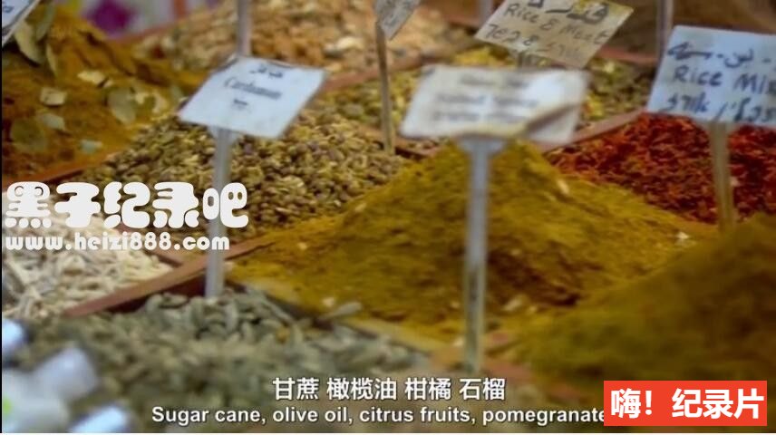 [十字军东征 The Crusades][BBC纪录片][3集][原声配音中英双字] 720P纪录片下载