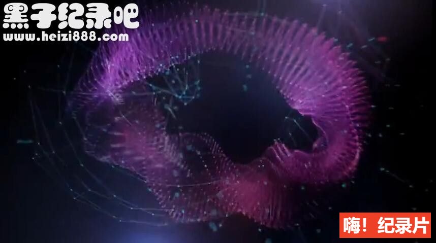 [人类面对大数据 2014][PBS纪录片][1集][原声配音中文字幕] 1080P下载