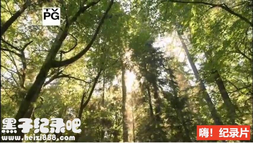 [人类面对大数据 2014][PBS纪录片][1集][原声配音中文字幕] 1080P下载