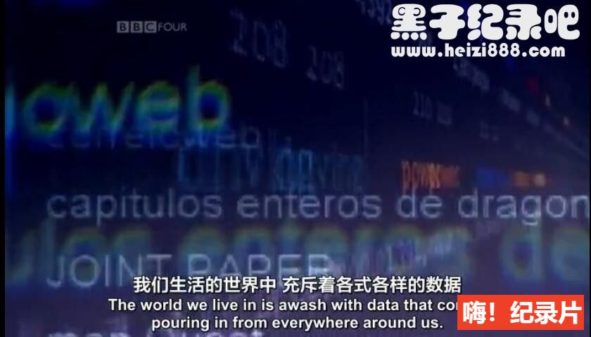 [统计的乐趣 The Joy of Stats 2010][BBC纪录片][1集][声配音中英双字] 标清纪录片下载