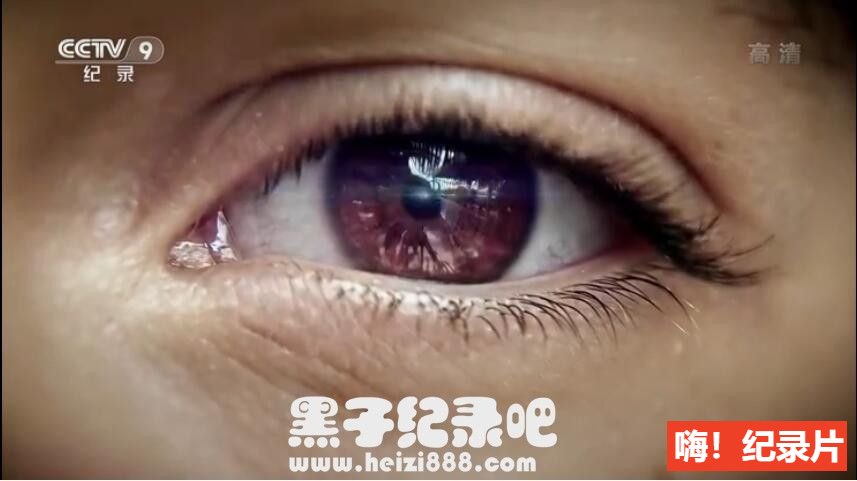 [科学的力量 2019][央视纪录片][8集][国语配音中文字幕]1080P纪录片下载