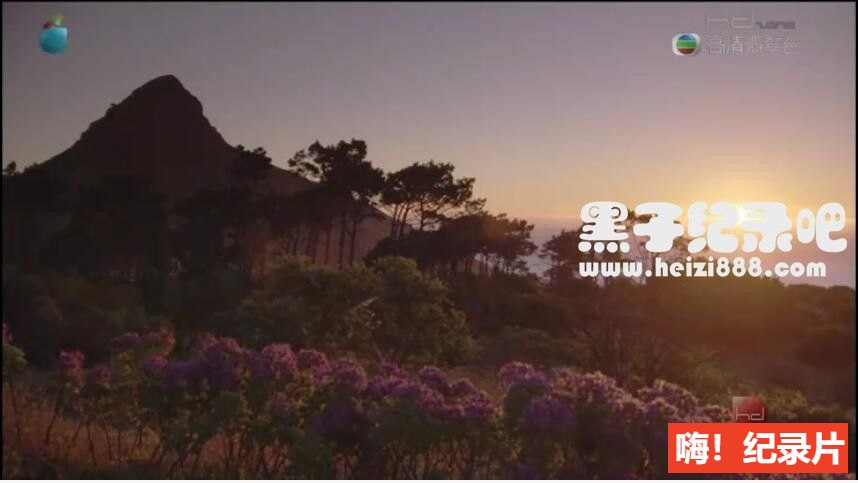 [花花世界/世界八十园林][10集][BBC][粤英双语中文字幕]720P下载