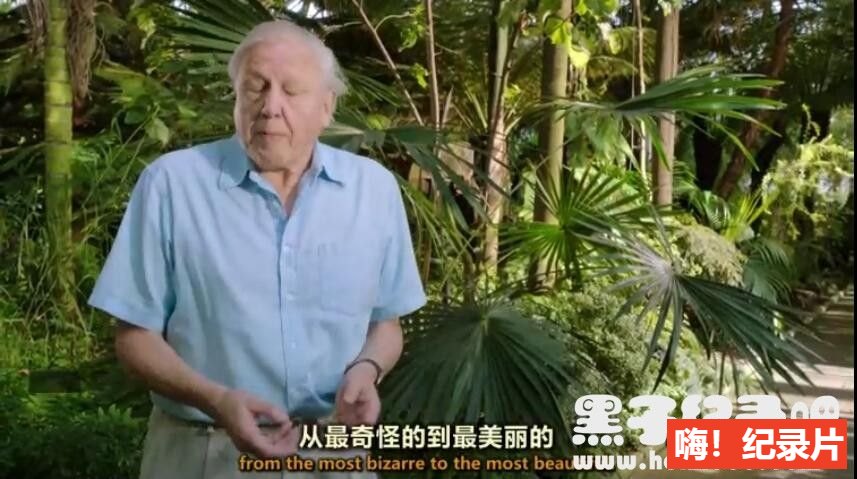 [植物王国/与大卫·爱登堡一起探索植物王国][3集+花絮][英语双字]1080P下载