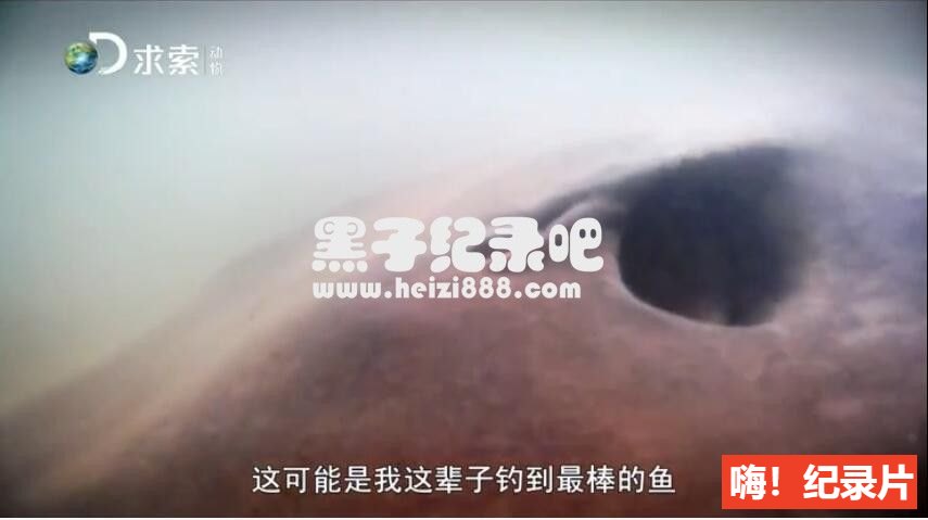 [巨鱼钓手][6集][探索频道][英语配音中文字幕]1080P下载