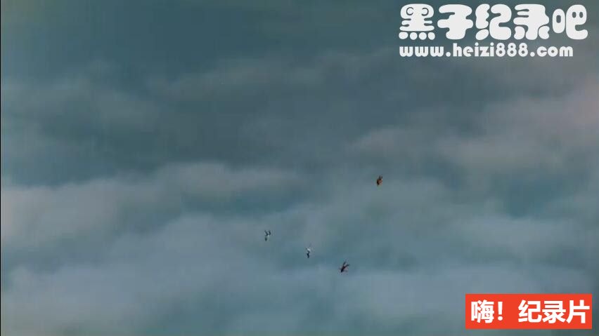 《极限飞跃：冒险的内涵》全1集 英语外挂中字 1080P蓝光超清下载