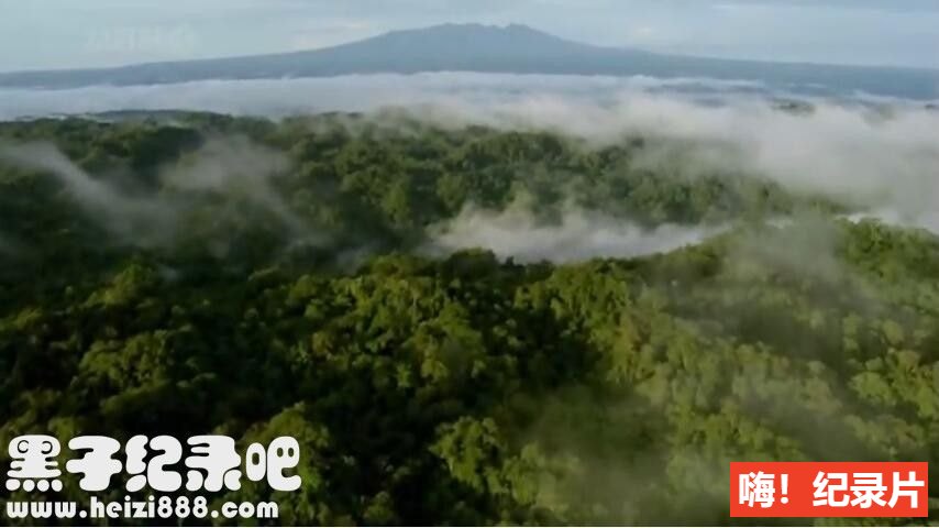 《火山失落之地 Lost Land of the Volcano 2009》全3集 中英双字 720P高清下载