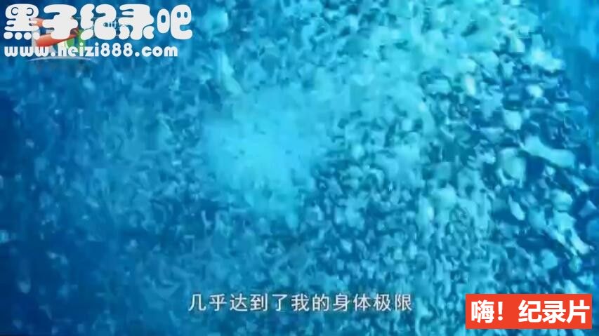 [水下致命之旅][4集][探险纪录片][英语配音中文字幕]1080P下载