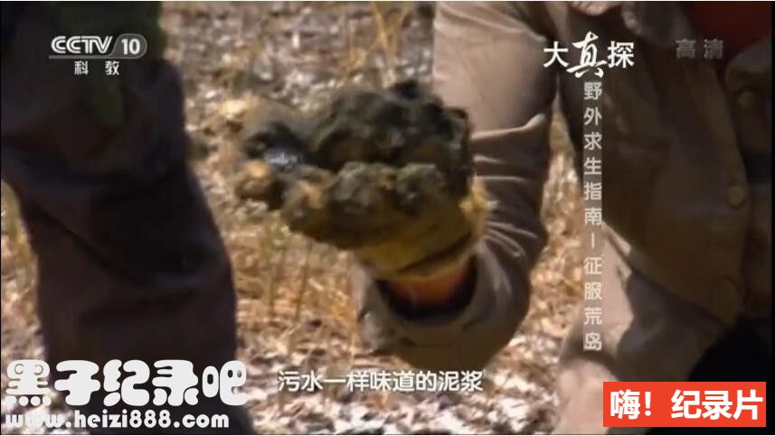 [野外求生指南系列之征服荒岛][8集][央视大真探][国语配音中文字幕]1080下载