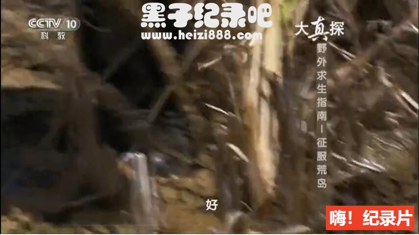 [野外求生指南系列之征服荒岛][8集][央视大真探][国语配音中文字幕]1080下载